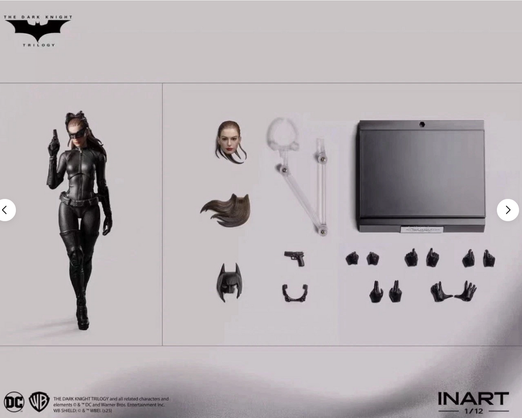 Batman The Dark Knight Catwoman InArt ⭐2