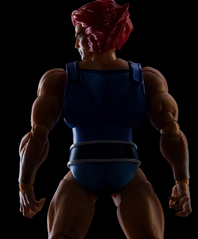 ThunderCats Lion-O Dasin Model 🚐1