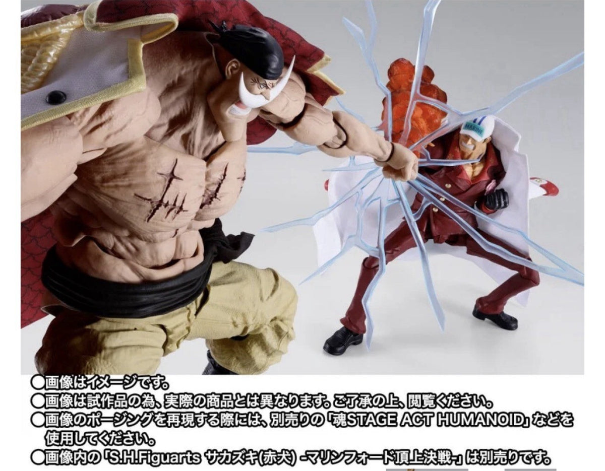 SH Figuarts Edward Newgate Whitebeard Summit War Of Marineford PRESALE ✈️6