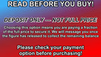 https://i.ebayimg.com/00/s/OTAwWDE2MDA=/z/FIkAAeSwWhxqtRzX/$_57.JPG