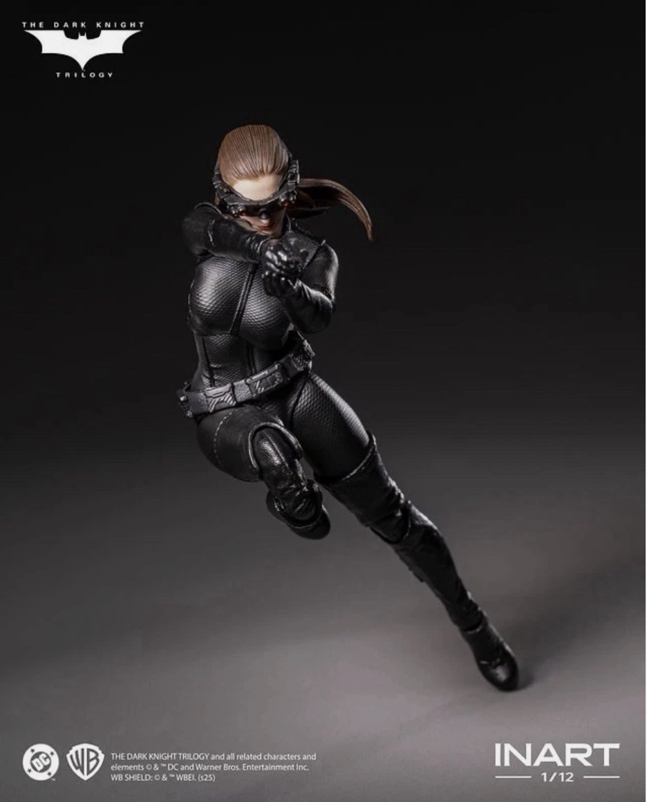 Batman The Dark Knight Catwoman InArt ⭐4