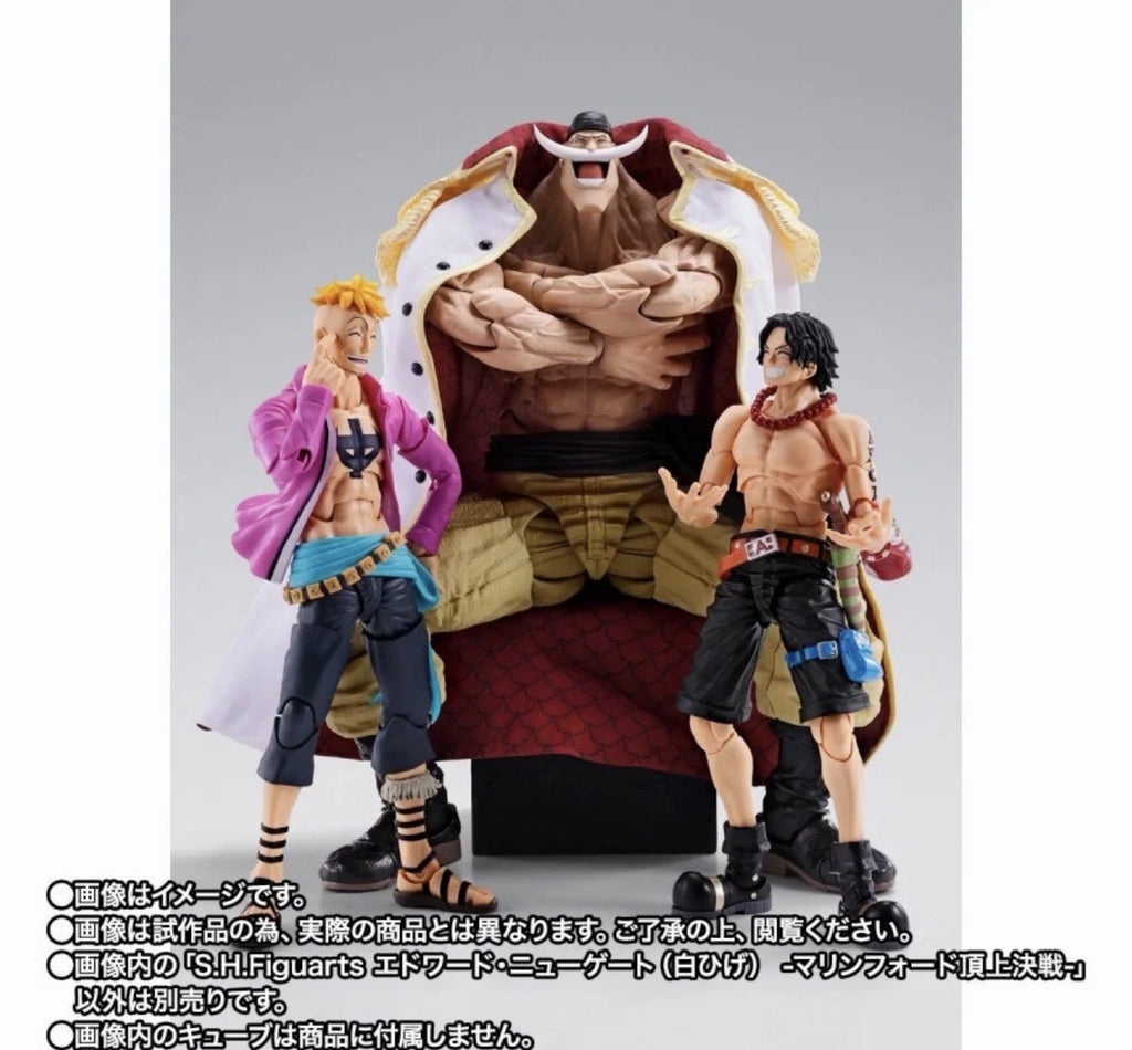 SH Figuarts Edward Newgate Whitebeard Summit War Of Marineford PRESALE ✈️7